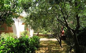 Apartments Sokolovic